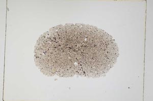 Plane Polarized, S4909