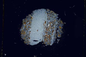 Cross Polarized, S4910