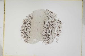 Plane Polarized, S4910