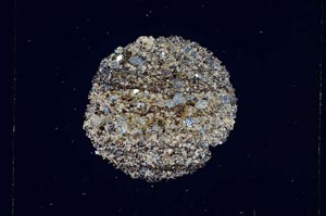 Cross Polarized, S4911