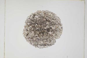 Plane Polarized, S4911