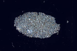 Cross Polarized, S4912