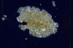 Cross Polarized, S4914