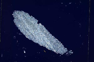 Cross Polarized, S4915