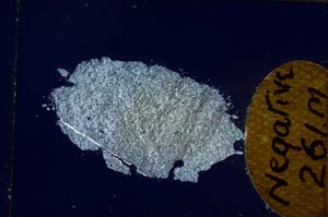 Cross Polarized, S4916