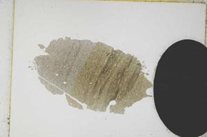 Plane Polarized, S4916