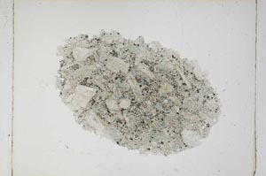 Plane Polarized, S4918