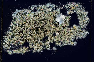 Cross Polarized, S4921