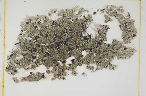 Plane Polarized, S4921