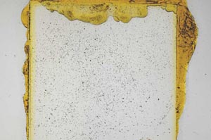Plane Polarized, S4931/b