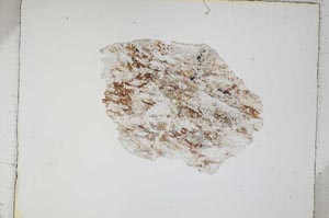 Plane Polarized, S4938