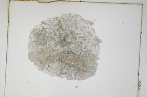 Plane Polarized, S4946