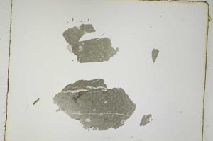 Plane Polarized, S4981