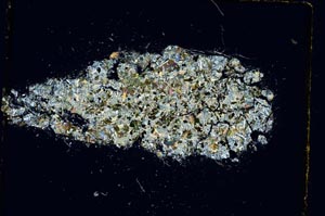 Cross Polarized, S4998