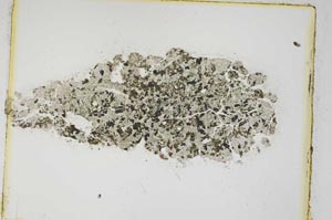 Plane Polarized, S4998