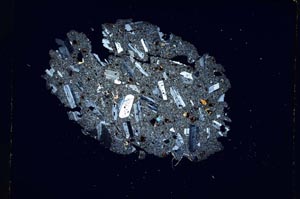 Cross Polarized, S5001