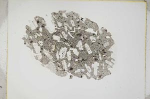 Plane Polarized, S5001