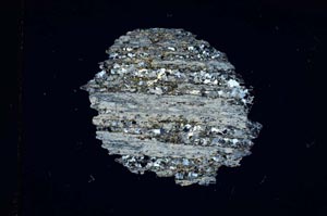 Cross Polarized, S5003