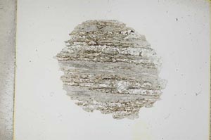 Plane Polarized, S5003