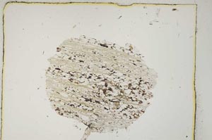 Plane Polarized, S5042
