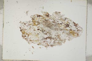 Plane Polarized, S5047
