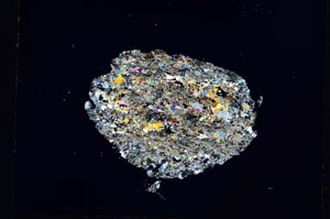 Cross Polarized, S5048