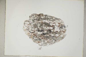 Plane Polarized, S5048