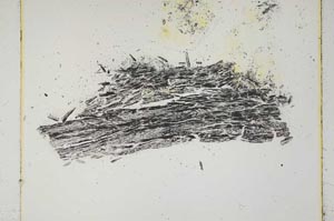 Plane Polarized, S5053