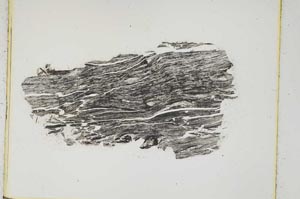 Plane Polarized, S5054