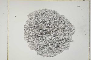 Plane Polarized, S5055