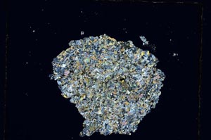 Cross Polarized, S5056