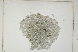 Plane Polarized, S5056