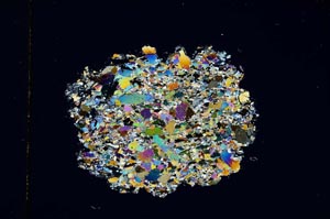 Cross Polarized, S5085