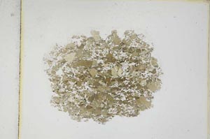 Plane Polarized, S5085