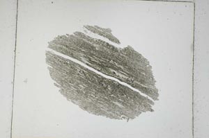 Plane Polarized, S5094