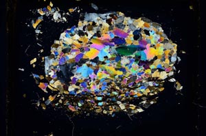 Cross Polarized, S5111