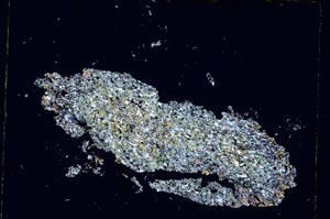 Cross Polarized, S5124