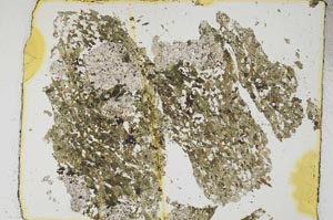 Plane Polarized, S5138