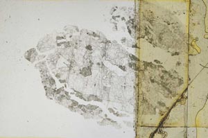 Plane Polarized, S5161