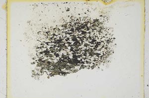 Plane Polarized, S5162