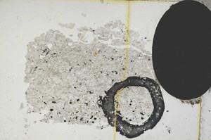 Plane Polarized, S5164