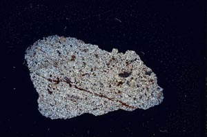 Cross Polarized, S5198