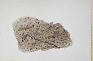 Plane Polarized, S5198