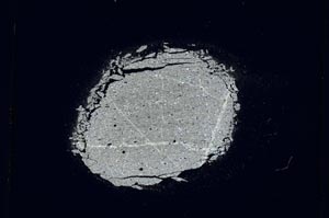 Cross Polarized, S5202
