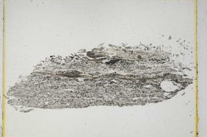 Plane Polarized, S5203