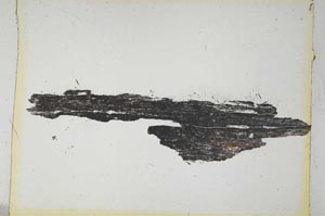 Plane Polarized, S5204