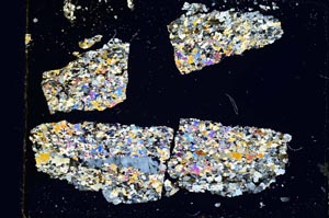 Cross Polarized, S5220