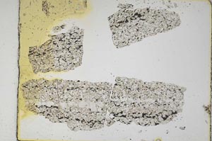 Plane Polarized, S5220