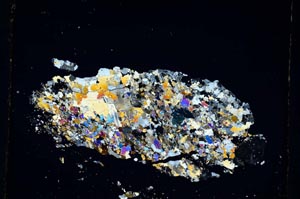 Cross Polarized, S5221