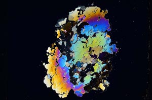 Cross Polarized, S5222